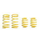 ST Sport Lowering Springs 1982-94 BMW E30 3-Series