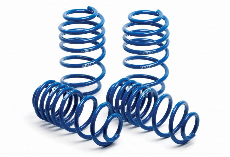 H&R Lowering Springs 1990-95 BMW E34 525i (29672-1)